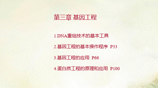 新教材人教版高中生物选择性必修3生物技术与工程第三章基因工程 习题课件