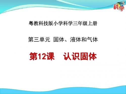 粤教版小学科学三年级上册《认识固体》课件