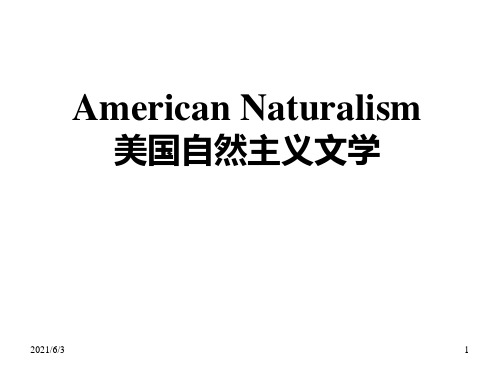 美国文学-American-Naturalism