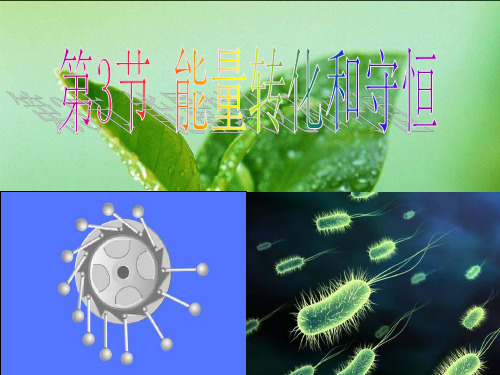 143能量转化和守恒