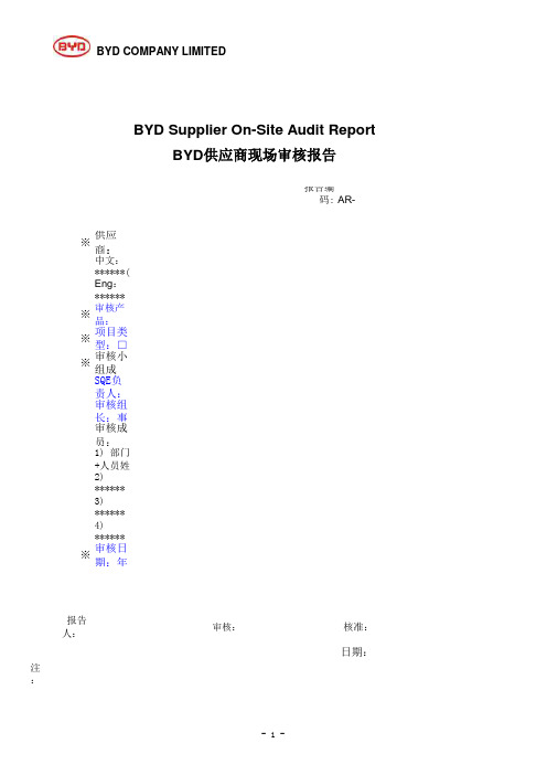 比亚迪供应商现场审核报告
