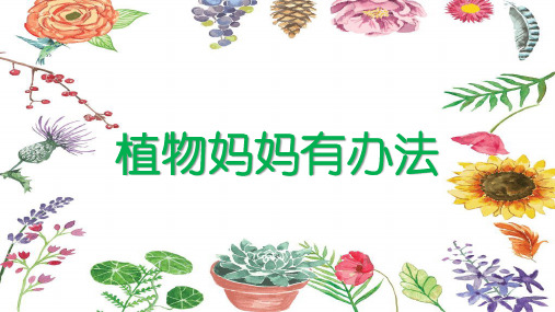 人教部编版植物妈妈有办法优秀-PPT1