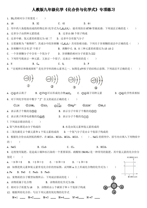 人教版九年级化学上册《化合价与化学式》专项练习