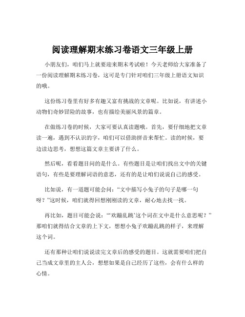 阅读理解期末练习卷语文三年级上册