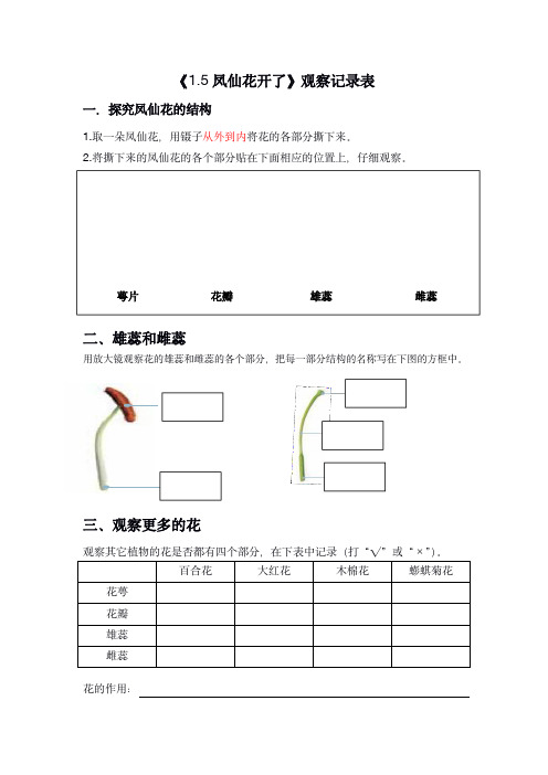 《1.5凤仙花开了实验记录表》