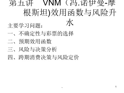 第五讲VNM(冯诺伊曼效用函数与风险升水培训资料.ppt