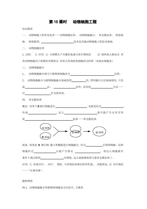 新版高二生物动物细胞工程