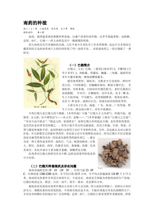 南药的种植——精选推荐