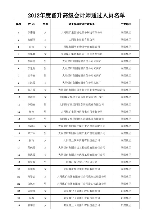 2012年度晋升高级会计师通过人员名单xls