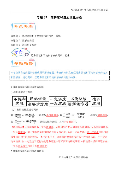 专题07 溶解度和溶质质量分数(考点详解)-备战2021年中考化学考点微专题(广东专版)(解析版)