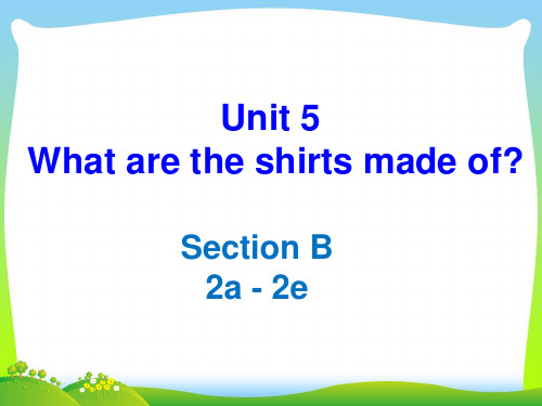 人教版英语九全Unit 5 Section B(Beauty in Common Things)