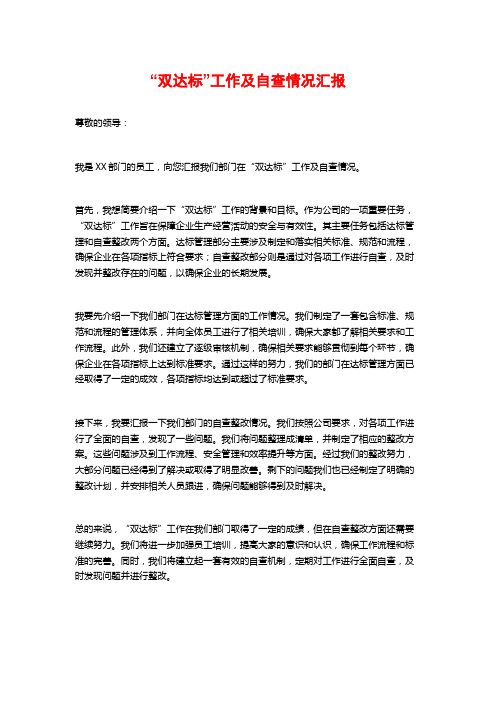 “双达标”工作及自查情况汇报