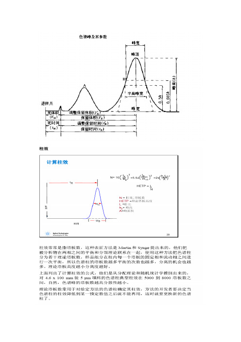 色谱峰,色谱柱及参数