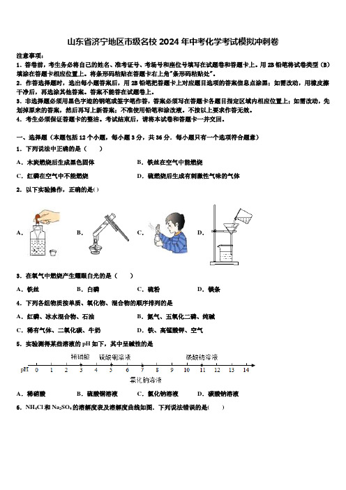 山东省济宁地区市级名校2024届中考化学考试模拟冲刺卷含解析