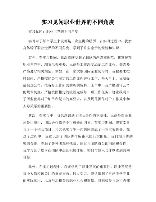 实习见闻职业世界的不同角度