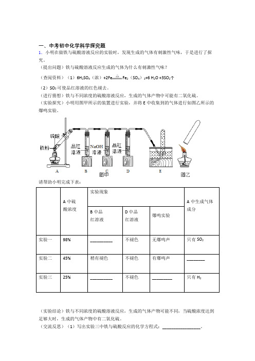 2020-2021备战中考化学 探究题 综合题附答案