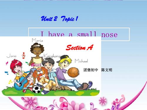 仁爱版七年级英语上Unit 2 Topic 1 I have a small nose Section A 教学课件 (共23张PPT)