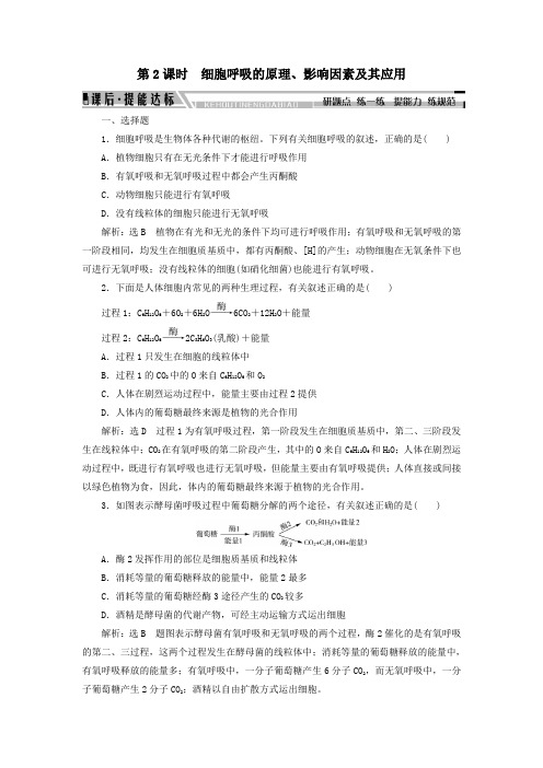 2020版高中生物细胞呼吸的原理、影响因素及其应用精练(含解析)人教版必修1