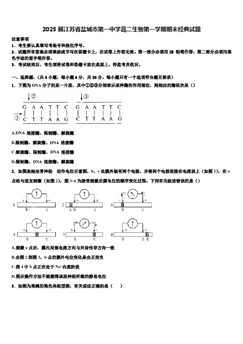 2025届江苏省盐城市第一中学高二生物第一学期期末经典试题含解析