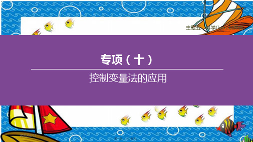 中考化学复习方案 主题五 科学探究 专项(10)控制变量法的应用课件