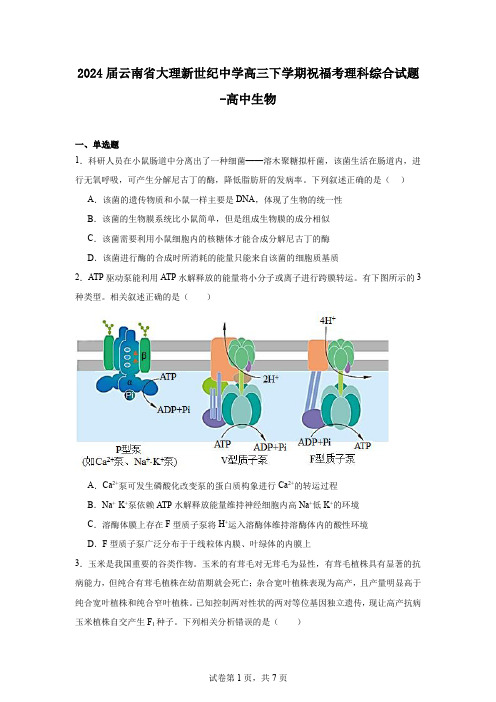 2024届云南省大理新世纪中学高三下学期祝福考理科综合试题-高中生物