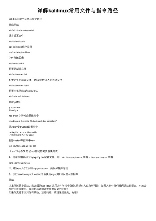 详解kalilinux常用文件与指令路径