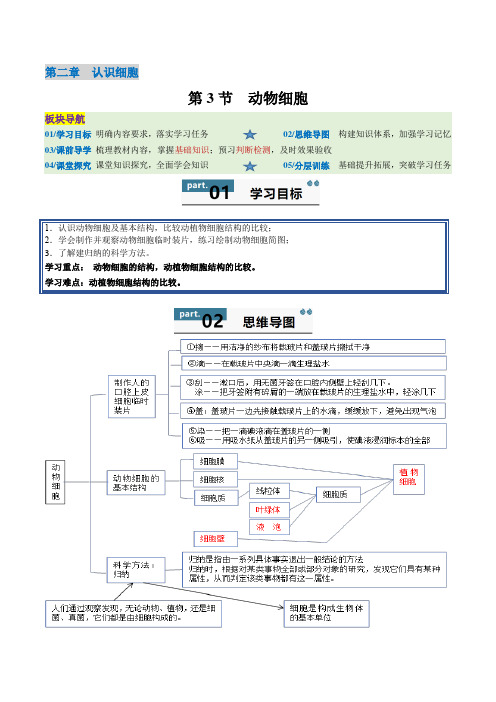 【2024版人教版生物七上同步练习】第1单元 生物和细胞分1.2.3 动物细胞(解析版)