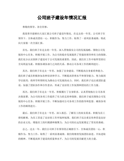 公司班子建设年情况汇报