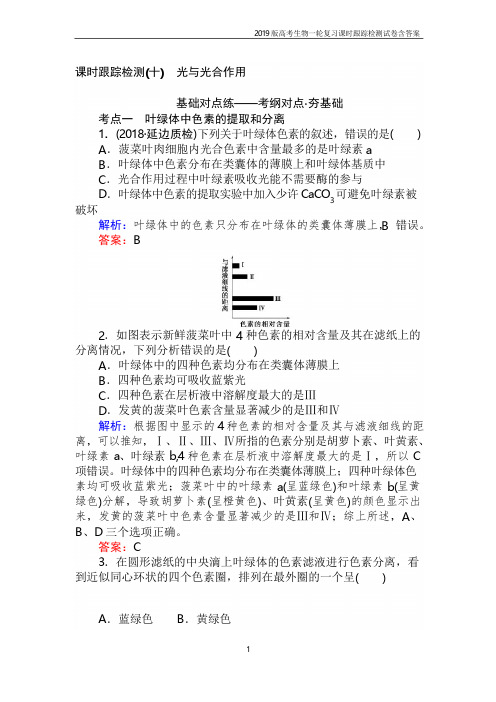 2019高考生物一轮复习第三单元 细胞的能量供应和利用(十)含解析