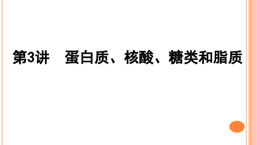 新人教版一轮复习 第3讲 蛋白质、核酸、糖类和脂质