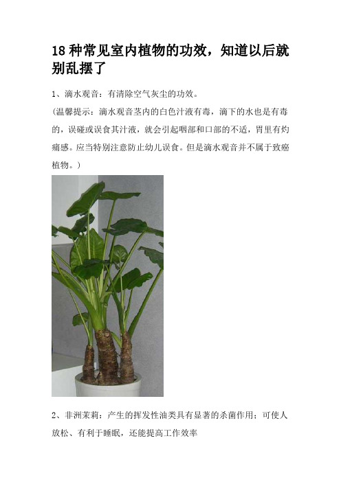 18种常见室内植物的功效,知道以后就别乱摆了