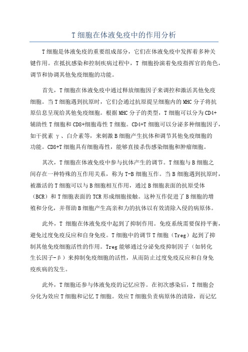 T细胞在体液免疫中的作用分析