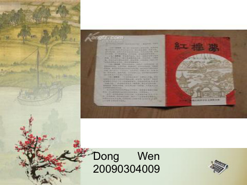 《红楼梦》的英文简介