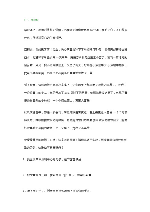 小学五年级语文阅读理解练习及答案