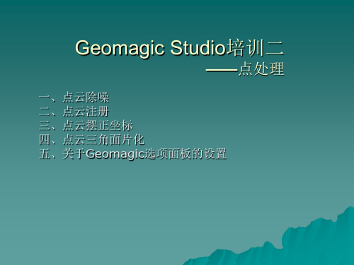 Geomagic培训教程之点处理