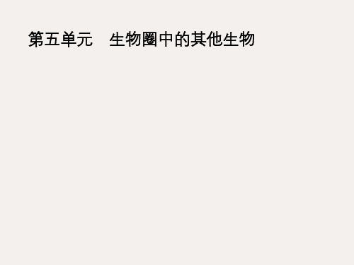 (课标通用)中考生物总复习 第五单元第十六讲 动物的主要类群课件