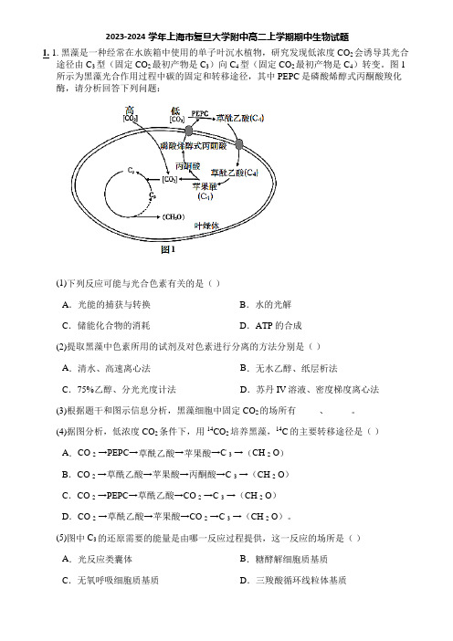 2023-2024学年上海市复旦大学附中高二上学期期中生物试题