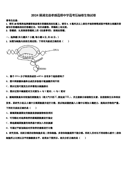 2024届湖北省孝感高级中学高考压轴卷生物试卷含解析