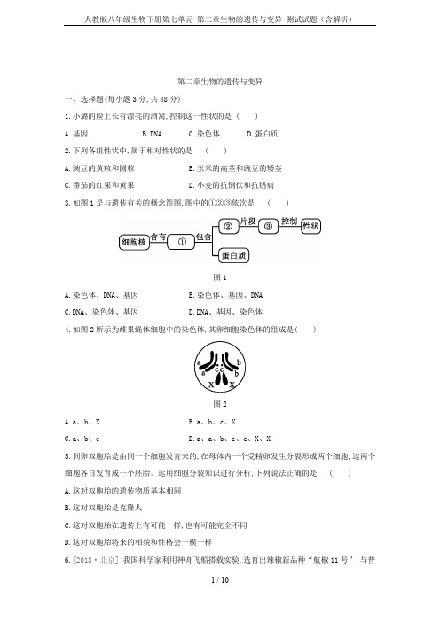 人教版八年级生物下册第七单元 第二章生物的遗传与变异 测试试题(含解析)