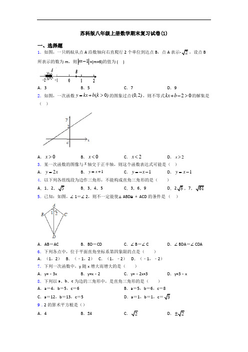 苏科版八年级上册数学期末复习试卷(1)