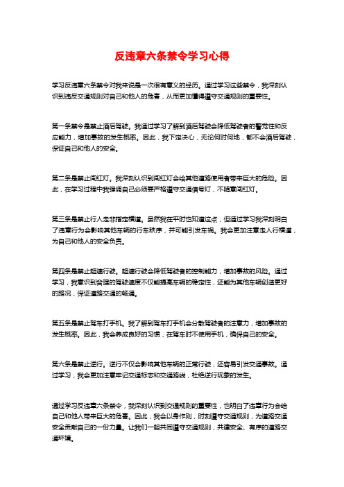 反违章六条禁令学习心得