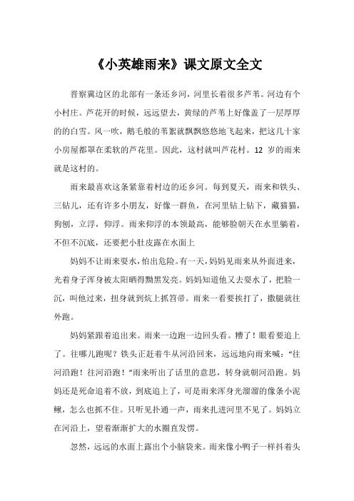 《小英雄雨来》课文原文全文