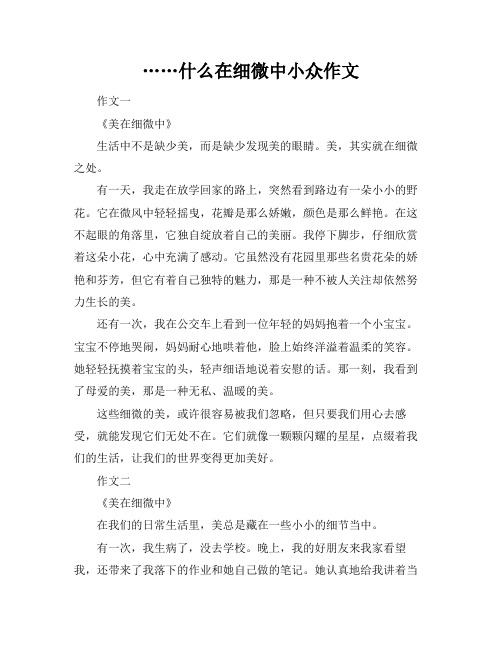 ……什么在细微中小众作文