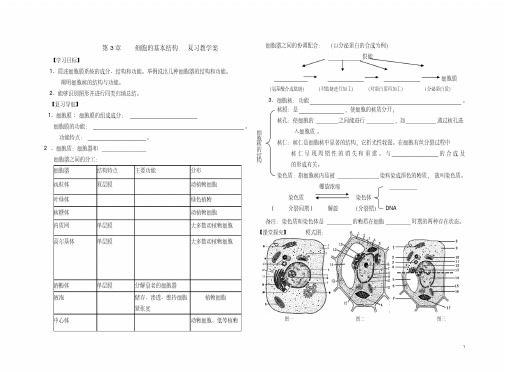 第3章细胞的基本结构复习教学案