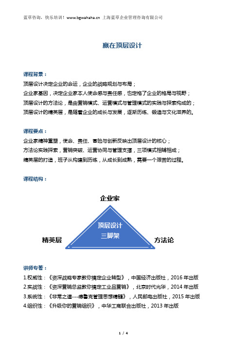 《赢在顶层设计》