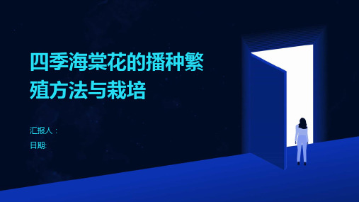 四季海棠花的播种繁殖方法与栽培