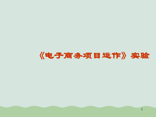 电子商务项目运作实验方法PPT(共49页)