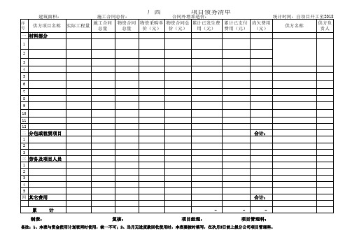 项目债务清单