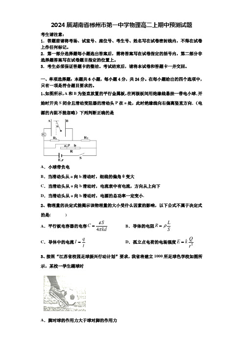 2024届湖南省郴州市第一中学物理高二上期中预测试题含解析