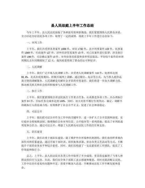 县人民法庭上半年工作总结